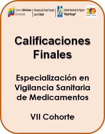 Calificaciones Definitivas VSM